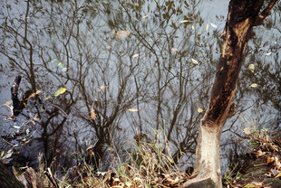 Mos-1990-39.jpg
